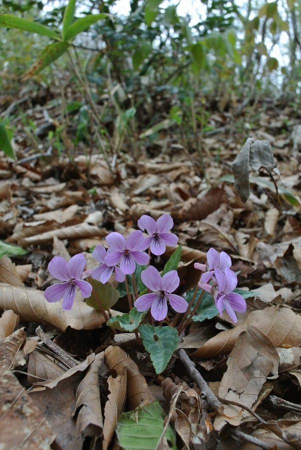 s-2019-04-29_12-57-53.jpg