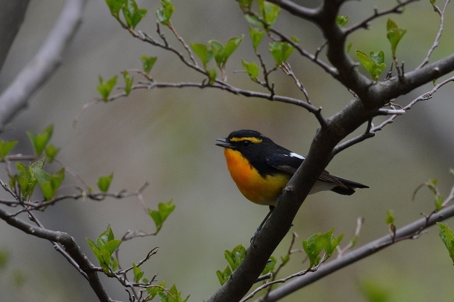 s-2019-04-29_13-28-27T.jpg