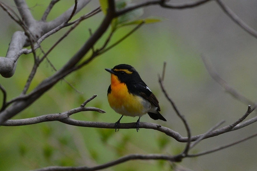 s-2019-04-29_13-29-02T.jpg
