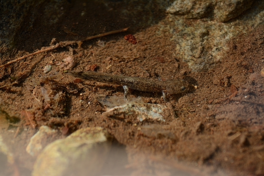 s-2019-05-02_07-42-39.jpg
