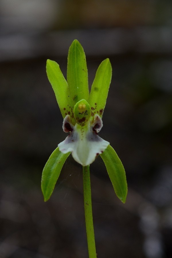 s-2019-05-02_12-26-07.jpg