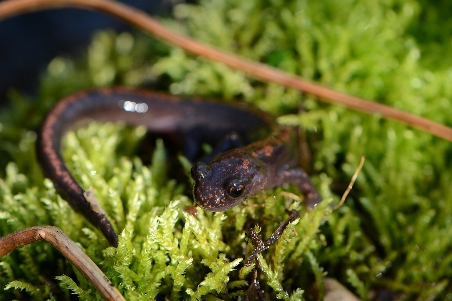 s-2019-05-02_16-13-57.jpg