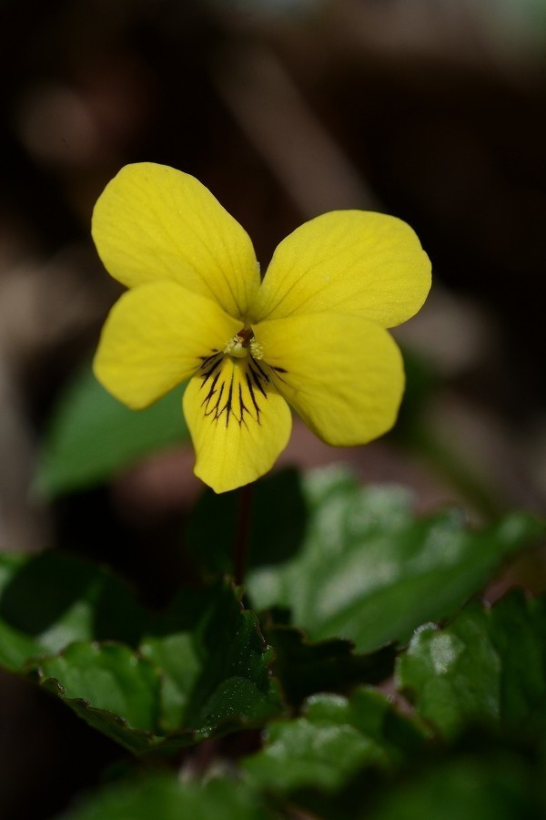 s-2019-05-03_08-08-03.jpg