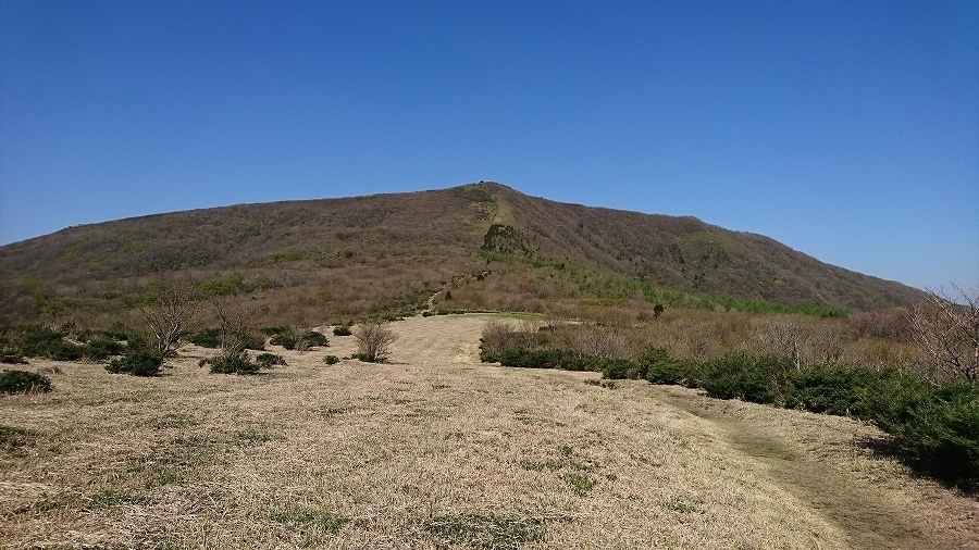 s-2019-05-03_09-31-56.jpg