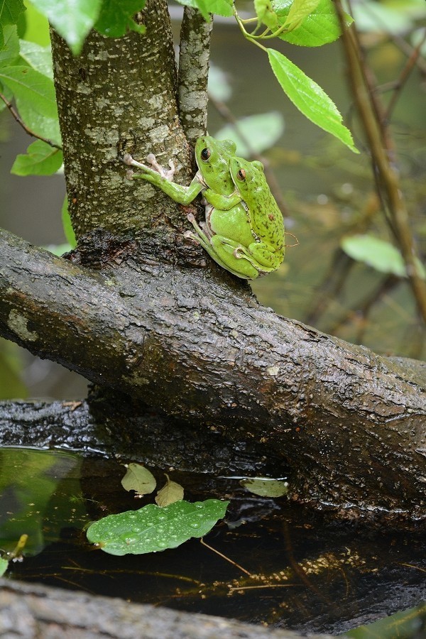 s-2019-06-08_15-20-02.jpg