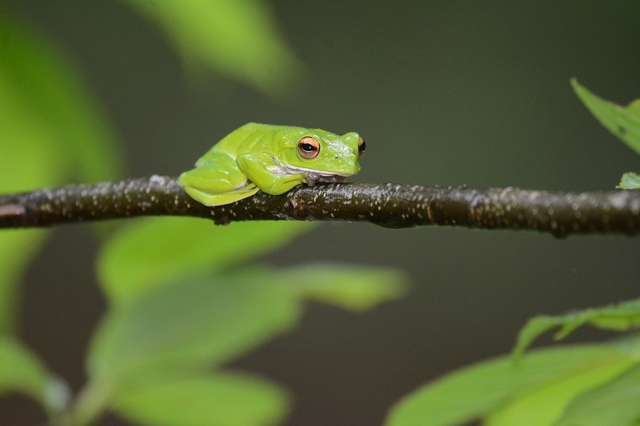s-2019-06-08_15-44-37.jpg