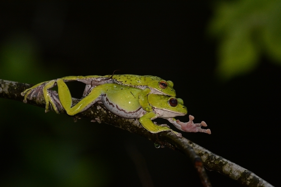 s-2019-06-08_16-25-03.jpg