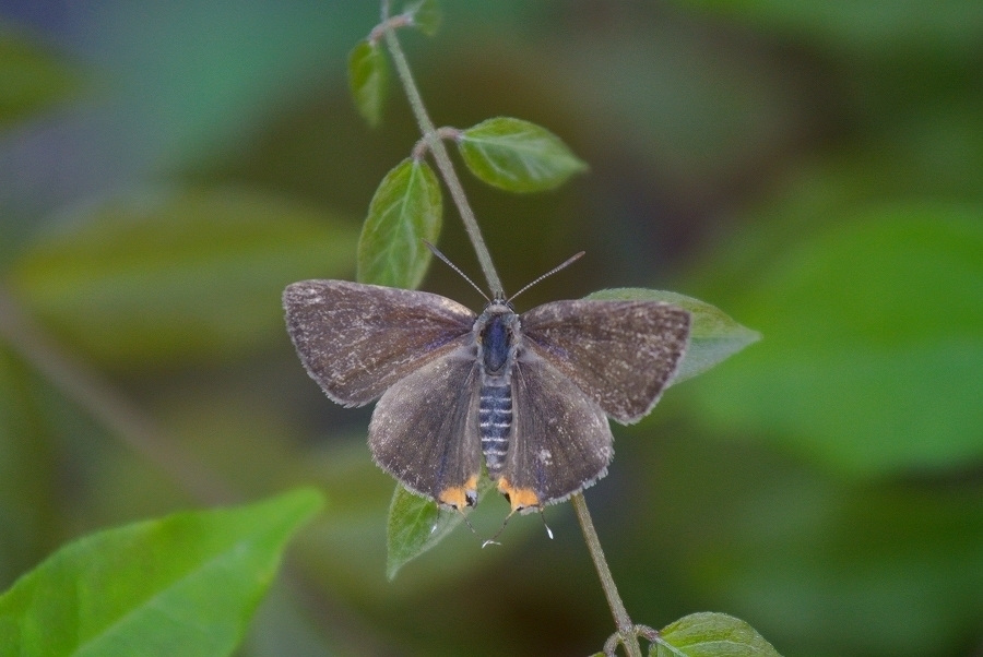s-2019-06-18_18-09-54.jpg