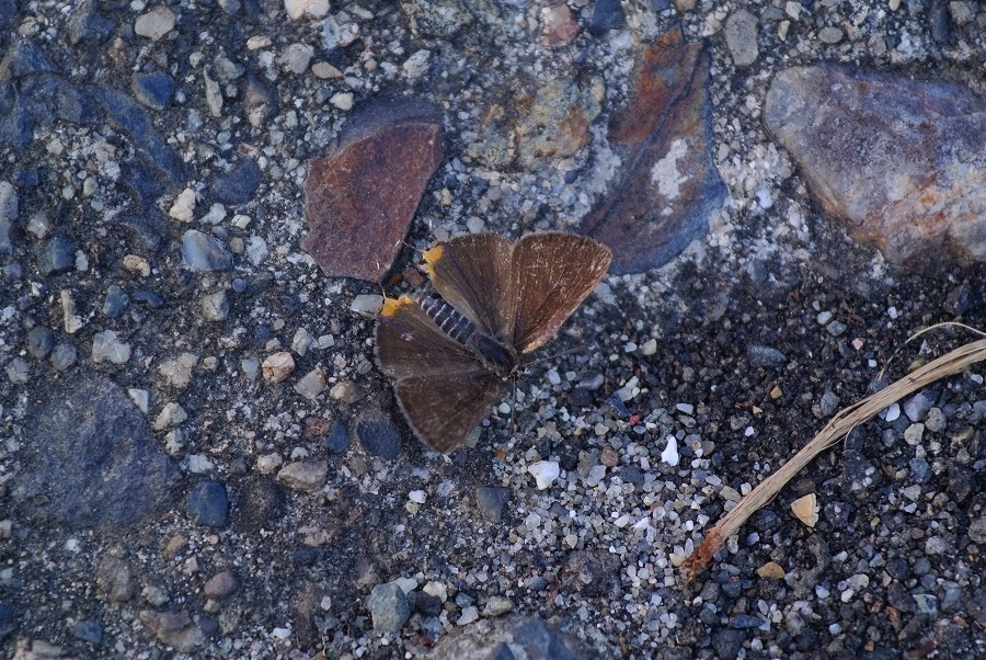 s-2019-06-18_18-14-34.jpg