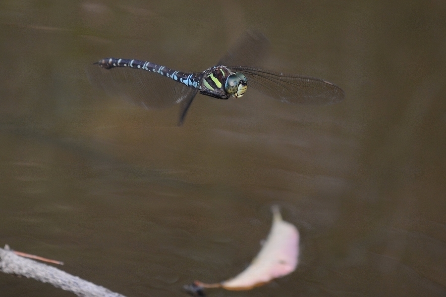 s-2019-09-01_07-54-28T.jpg