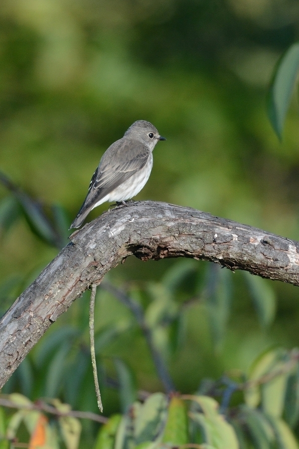 s-2019-09-14_06-33-29T.jpg