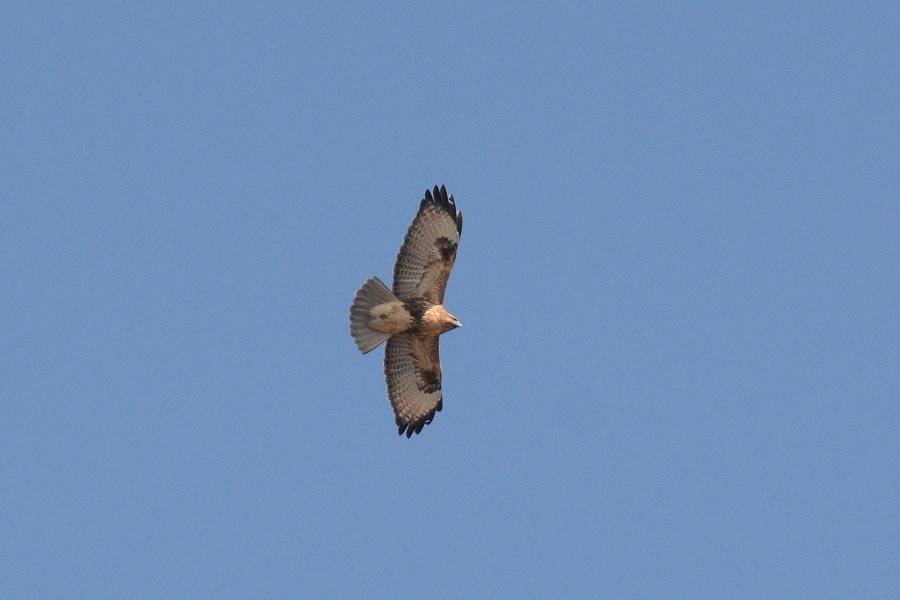 s-2019-09-29_09-46-35T.jpg