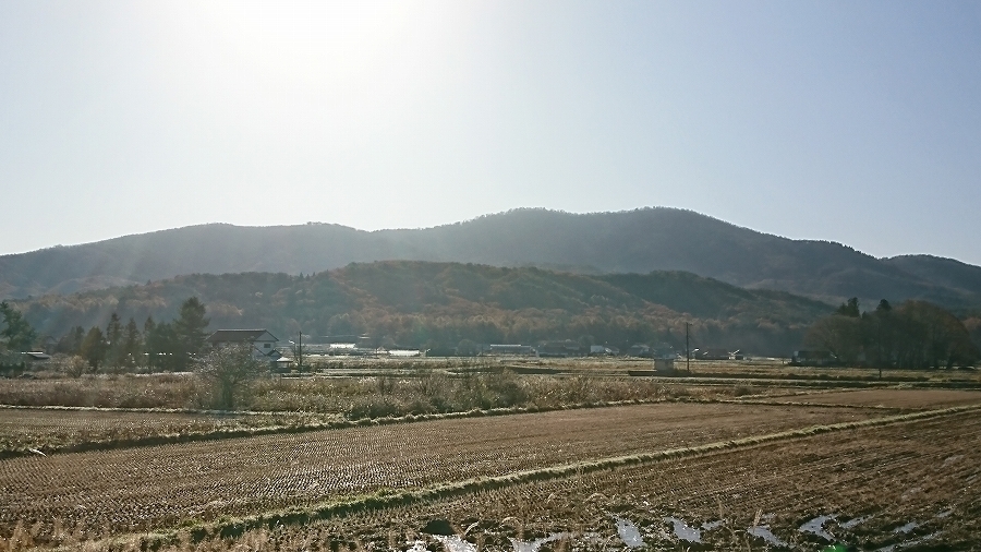 s-2019-11-15_08-41-38.jpg
