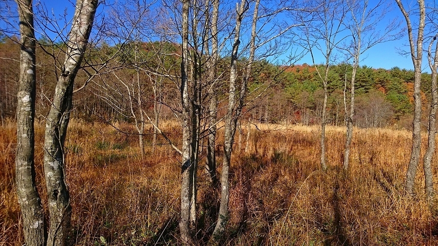 s-2019-11-15_09-22-07.jpg