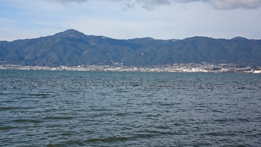 s-2020-01-19_10-36-20.jpg