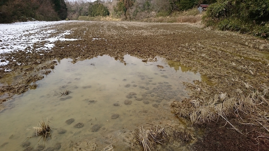 s-2020-02-08_10-24-57.jpg