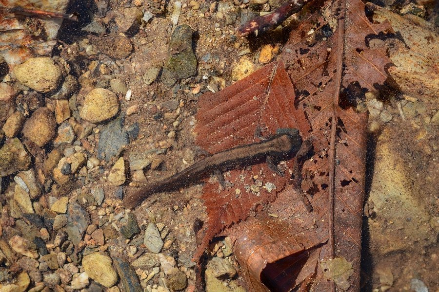 s-2020-03-07_10-05-12(1).jpg